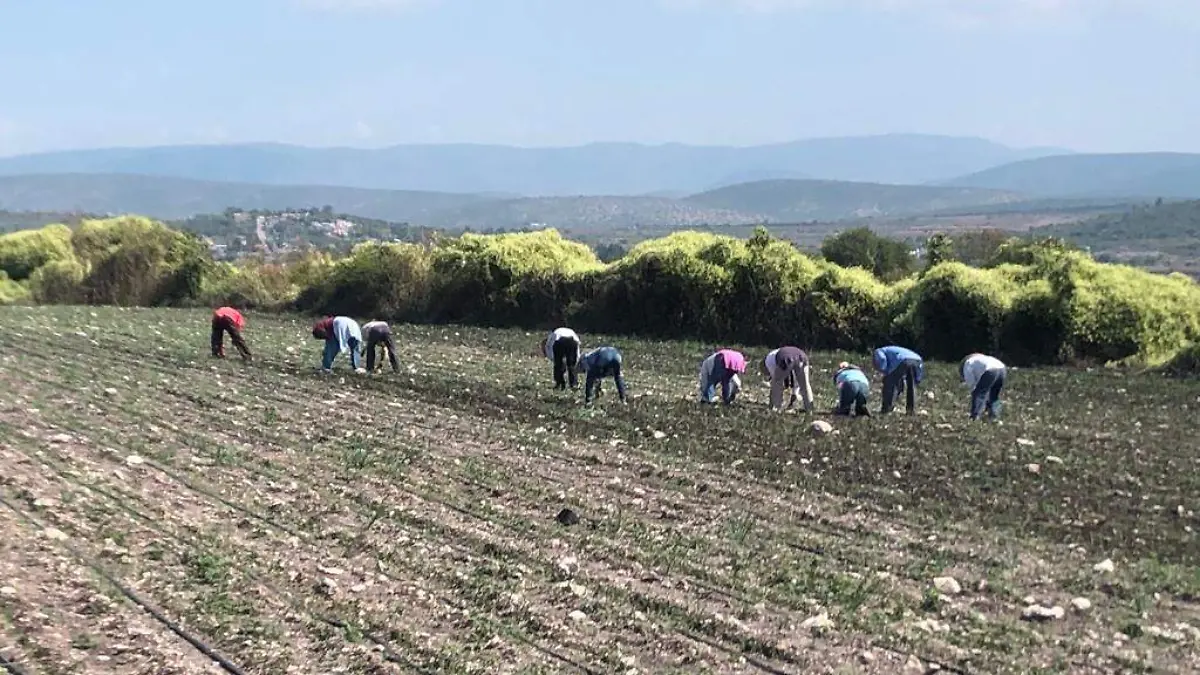 UNTA DENUNCIA REZAGO AGRARIO 